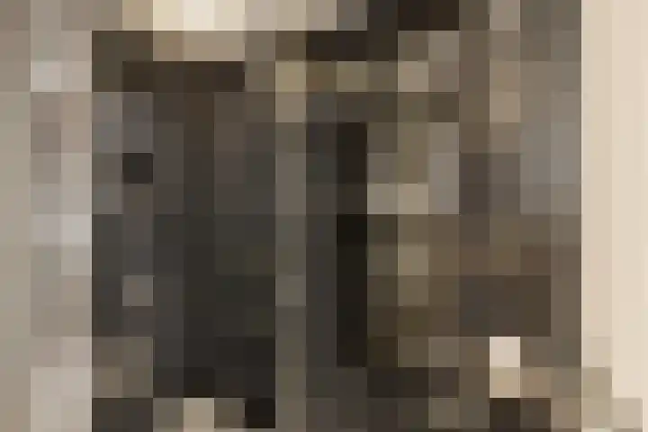 Kerkenmaaijerskamp 29 Velserbroek thumbnail 31