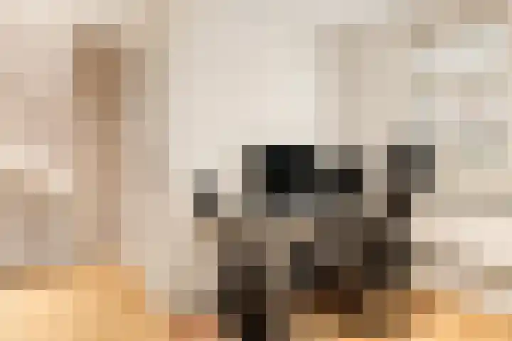 Kerkenmaaijerskamp 29 Velserbroek thumbnail 35
