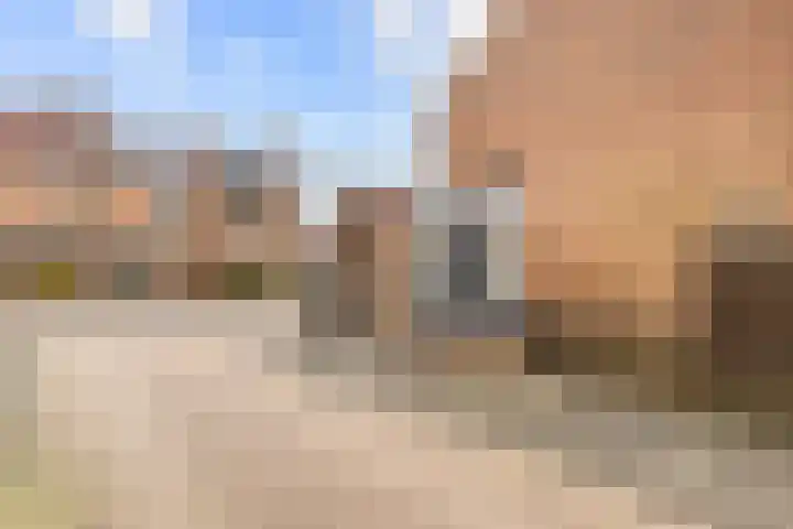 Kerkenmaaijerskamp 29 Velserbroek thumbnail 5
