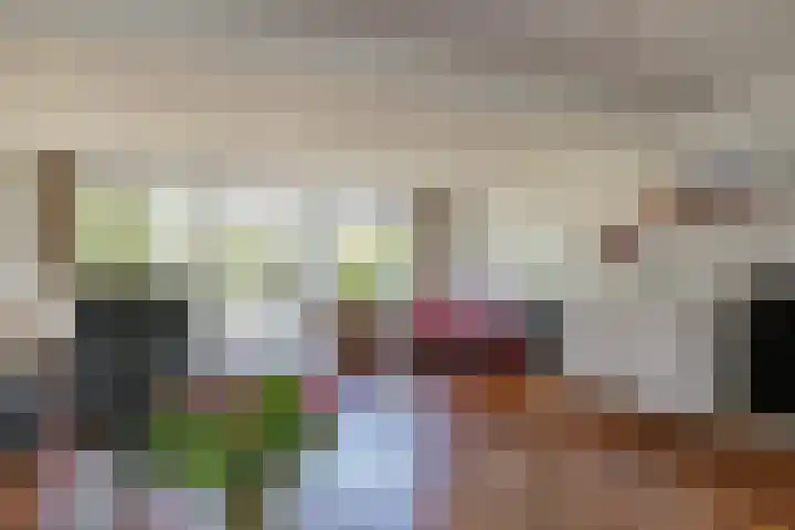 Kerkenmaaijerskamp 4 Velserbroek thumbnail 18