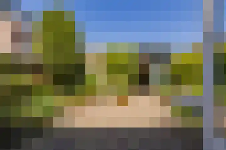Kerkenmaaijerskamp 4 Velserbroek thumbnail 21