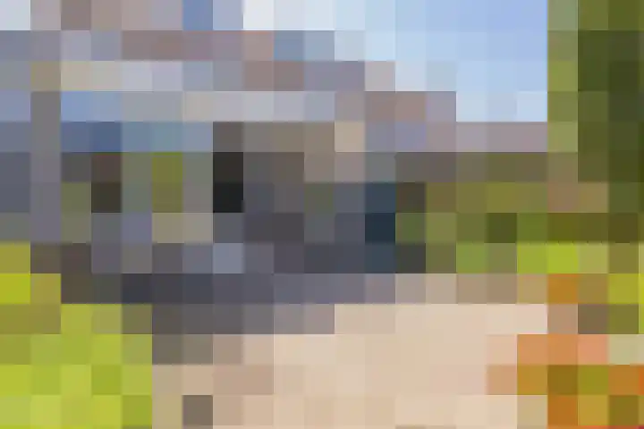 Kerkenmaaijerskamp 4 Velserbroek thumbnail 22