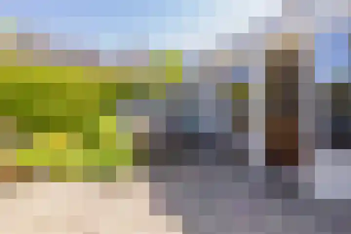 Kerkenmaaijerskamp 4 Velserbroek thumbnail 23