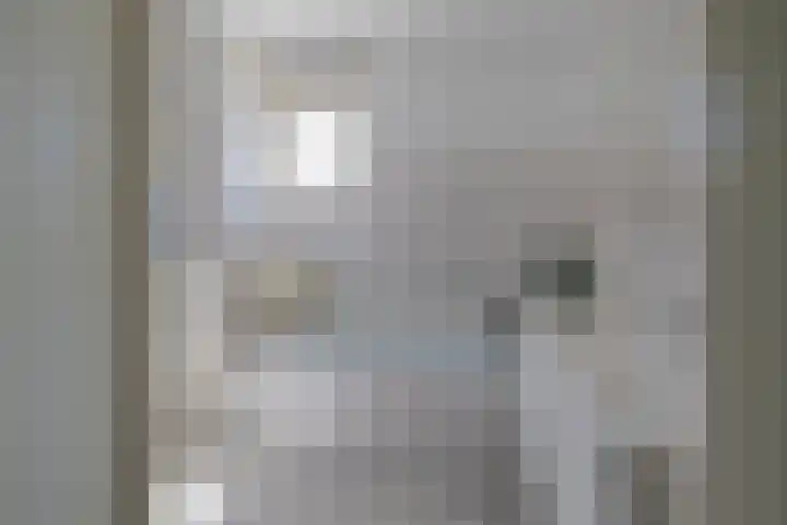 Kerkenmaaijerskamp 4 Velserbroek thumbnail 28