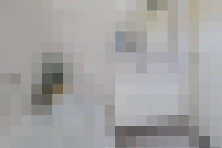 Kerkenmaaijerskamp 4 Velserbroek thumbnail 5