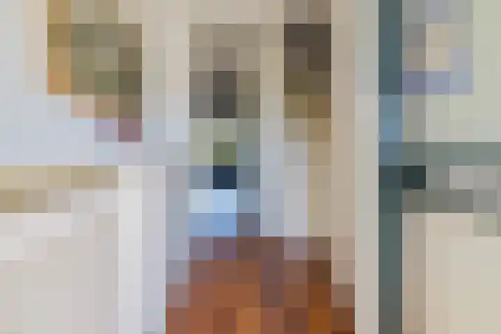 Kerkenmaaijerskamp 4 Velserbroek thumbnail 8