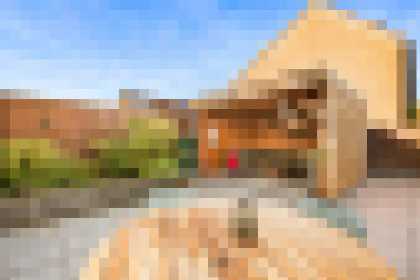 Kerkenmaaijerskamp 40 Velserbroek thumbnail 29