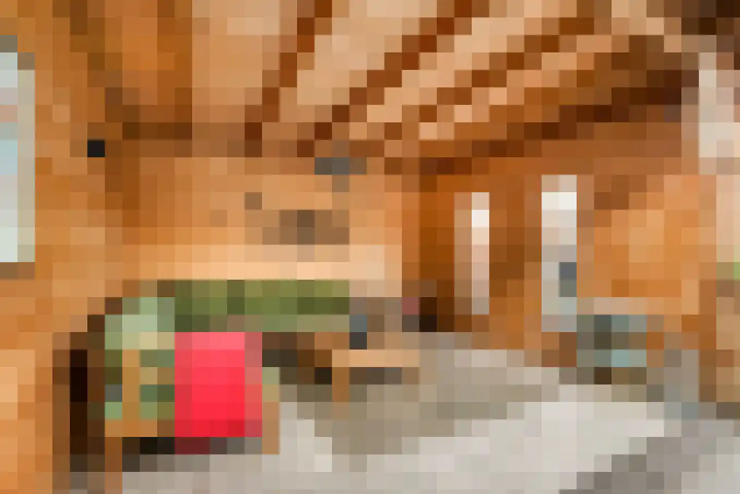 Kerkenmaaijerskamp 40 Velserbroek thumbnail 34