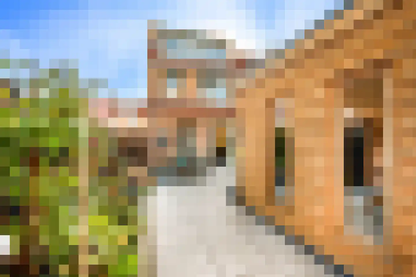 Kerkenmaaijerskamp 40 Velserbroek thumbnail 38