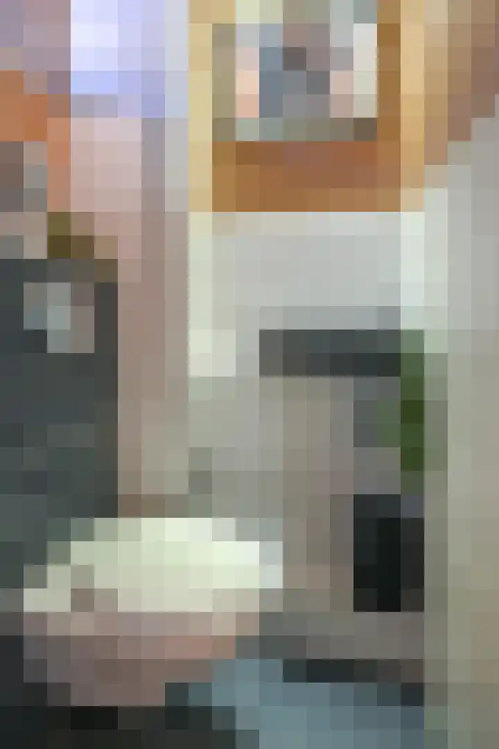 Kerkenmaaijerskamp 7 Velserbroek thumbnail 16
