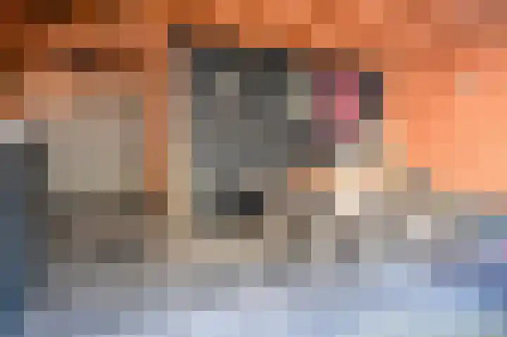 Kerkenmaaijerskamp 7 Velserbroek thumbnail 38