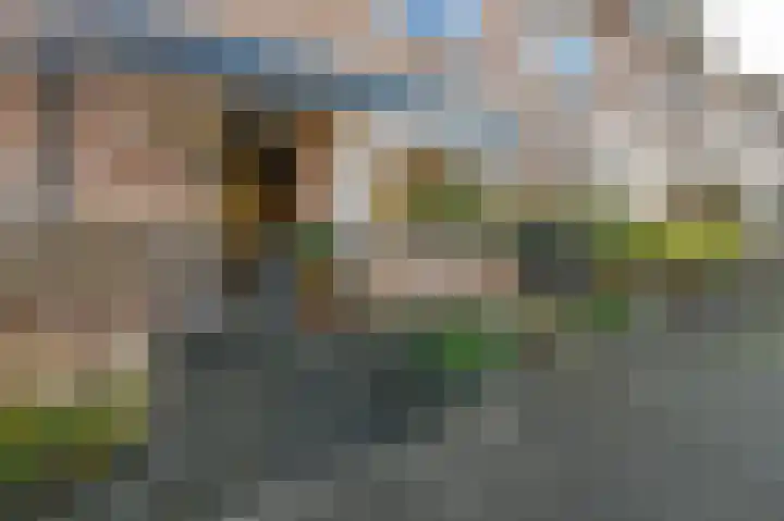 Kerkenmaaijerskamp 7 Velserbroek thumbnail 42