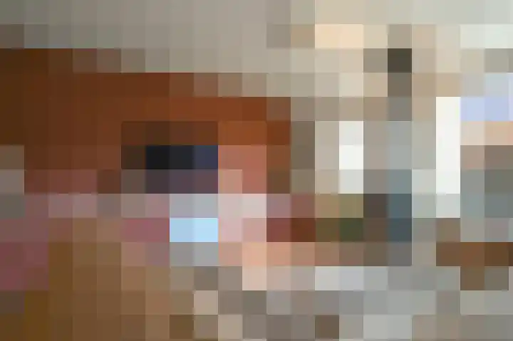 Kerkenmaaijerskamp 7 Velserbroek thumbnail 9