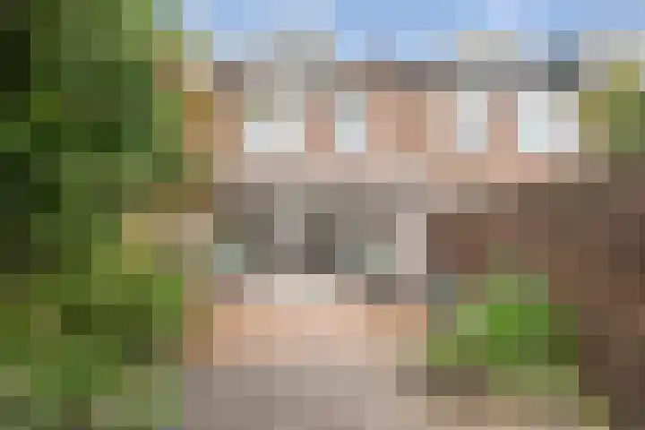 Kerkenmaaijerskamp 71 Velserbroek thumbnail 12
