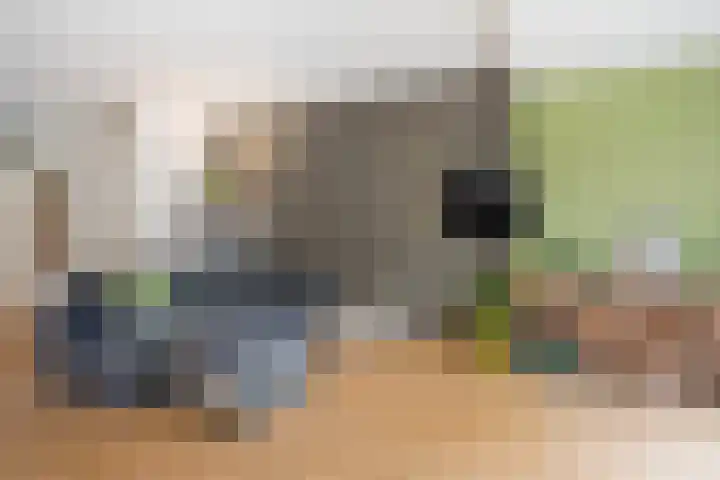Kerkenmaaijerskamp 71 Velserbroek thumbnail 20