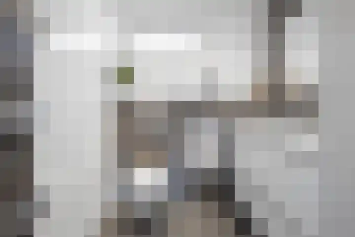 Kerkenmaaijerskamp 71 Velserbroek thumbnail 36