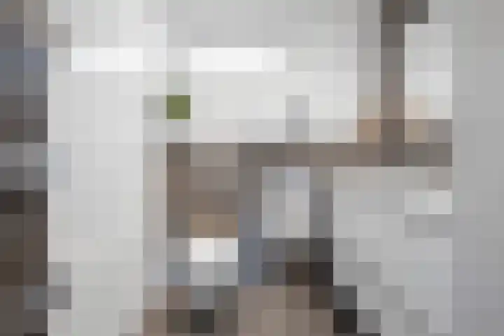 Kerkenmaaijerskamp 71 Velserbroek thumbnail 4