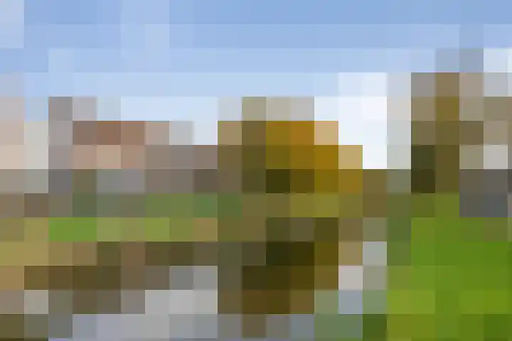 Kerkenmaaijerskamp 71 Velserbroek thumbnail 43