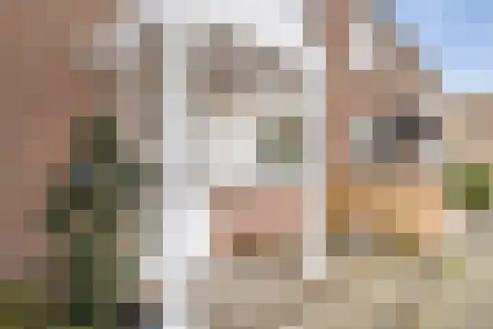 Kerkenmaaijerskamp 71 Velserbroek thumbnail 6