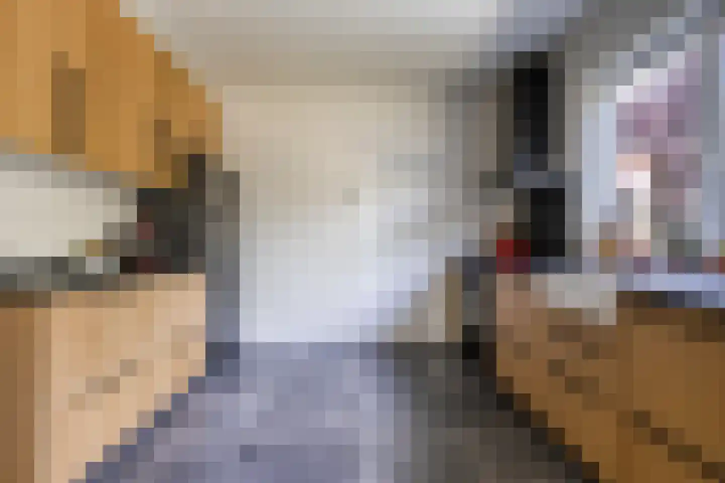 Kerkenveld 8 Beugen thumbnail 8
