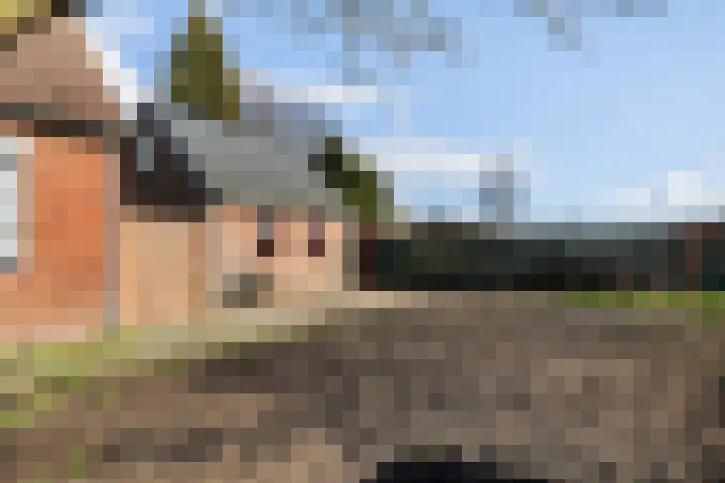 Kerkenweg 42 Weiteveen thumbnail 32