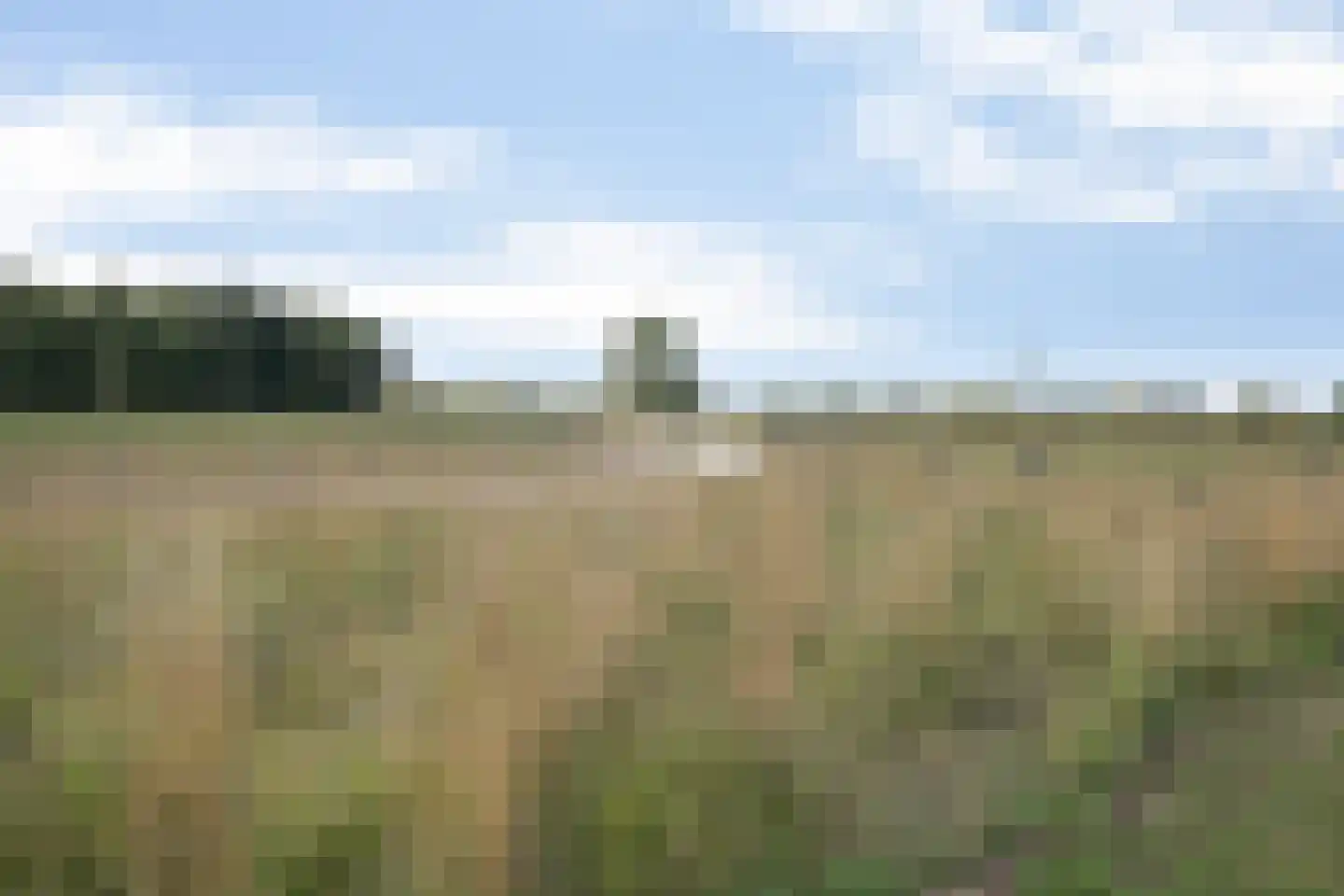 Kerkenweg 46 Weiteveen thumbnail 42