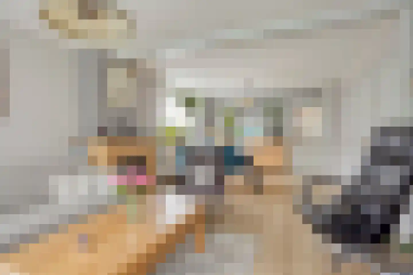 Kerkepad 1 Andijk thumbnail 11