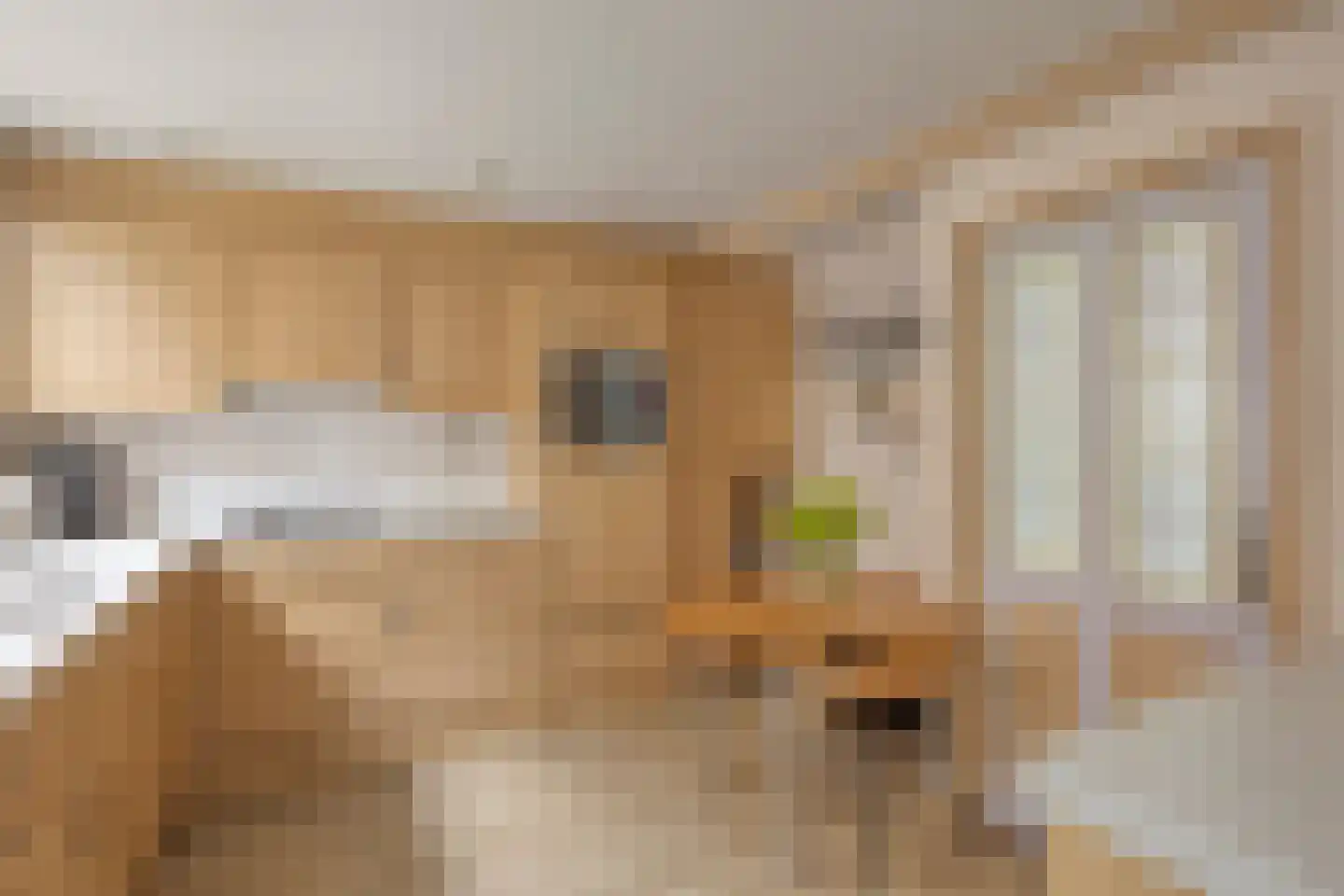 Kerkepad 1 Andijk thumbnail 15