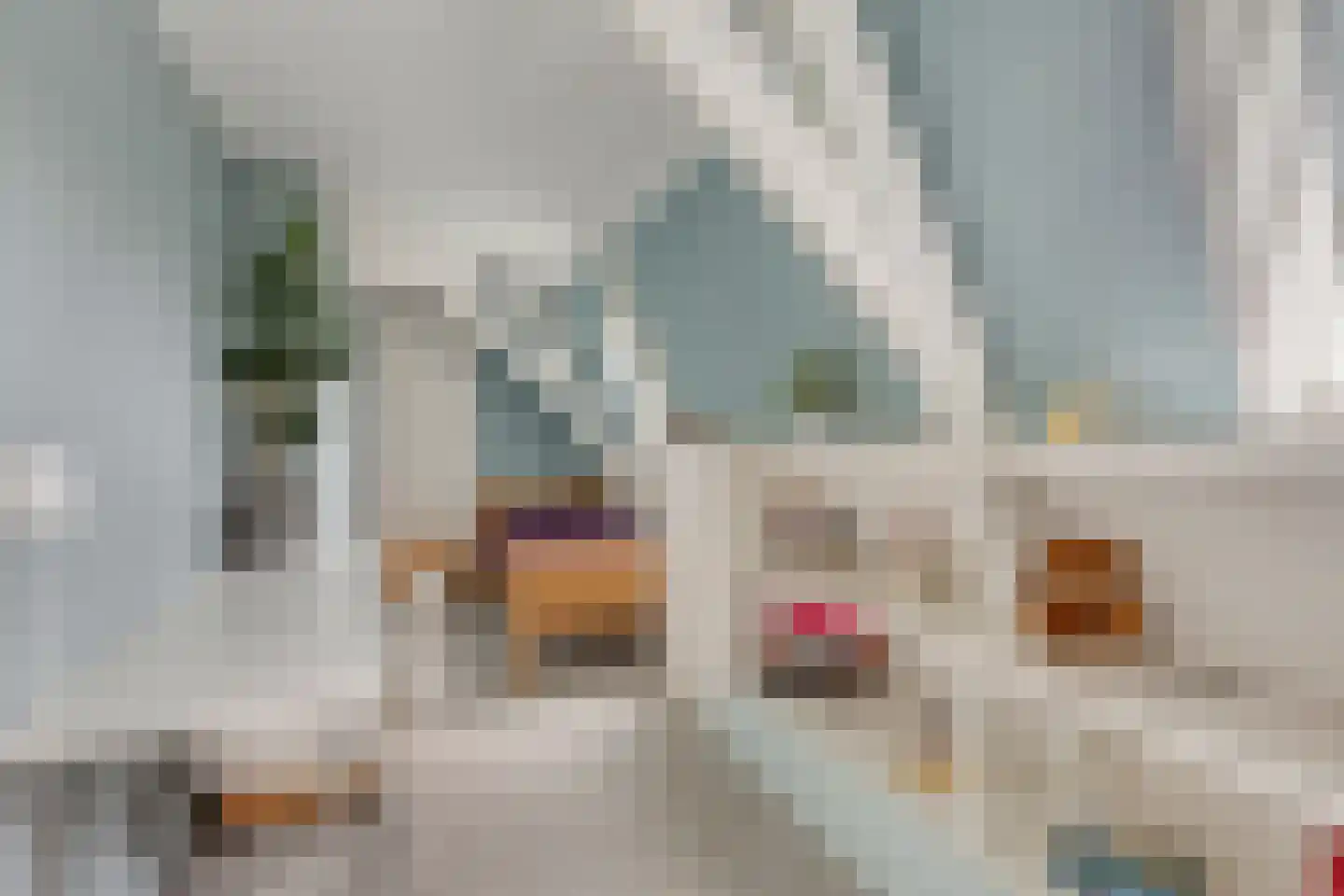 Kerkepad 1 Andijk thumbnail 28