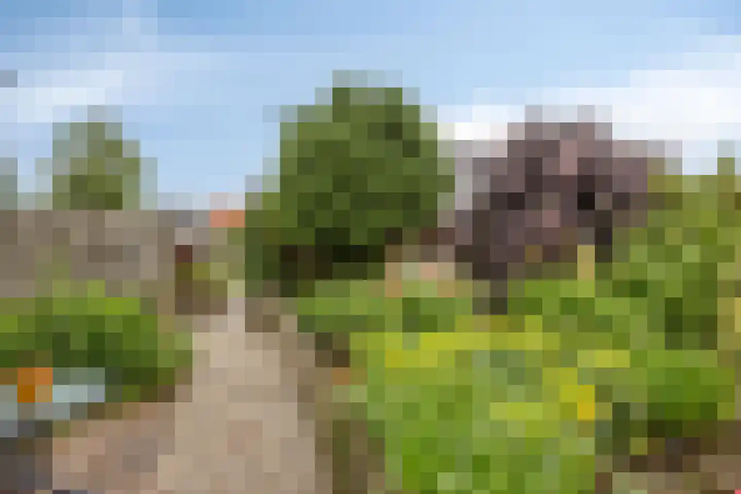 Kerkepad 1 Andijk thumbnail 36