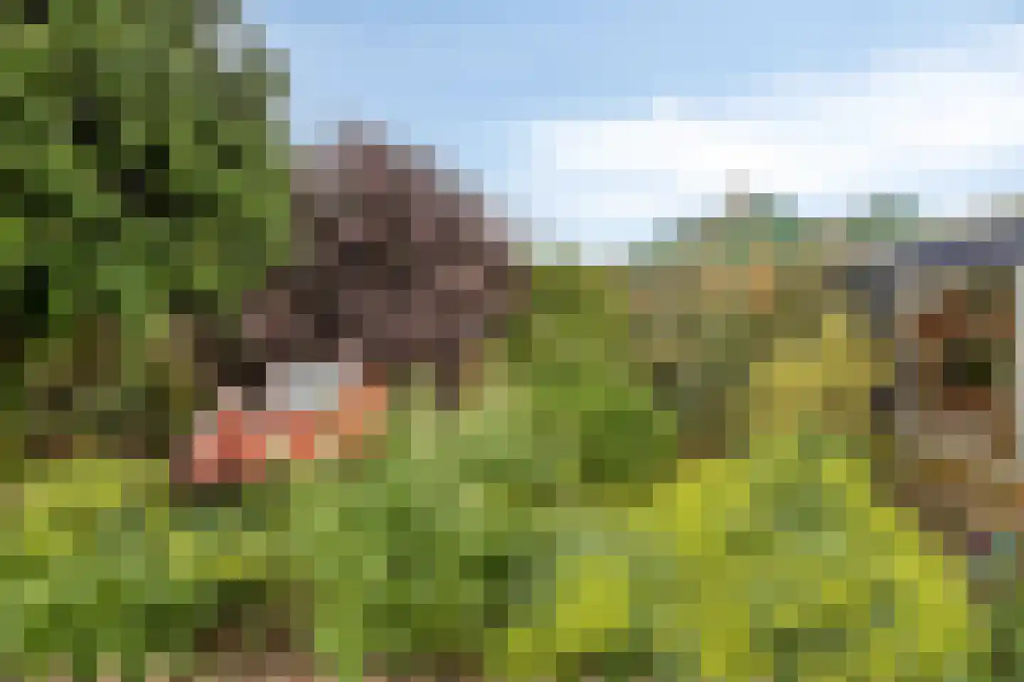 Kerkepad 1 Andijk thumbnail 37