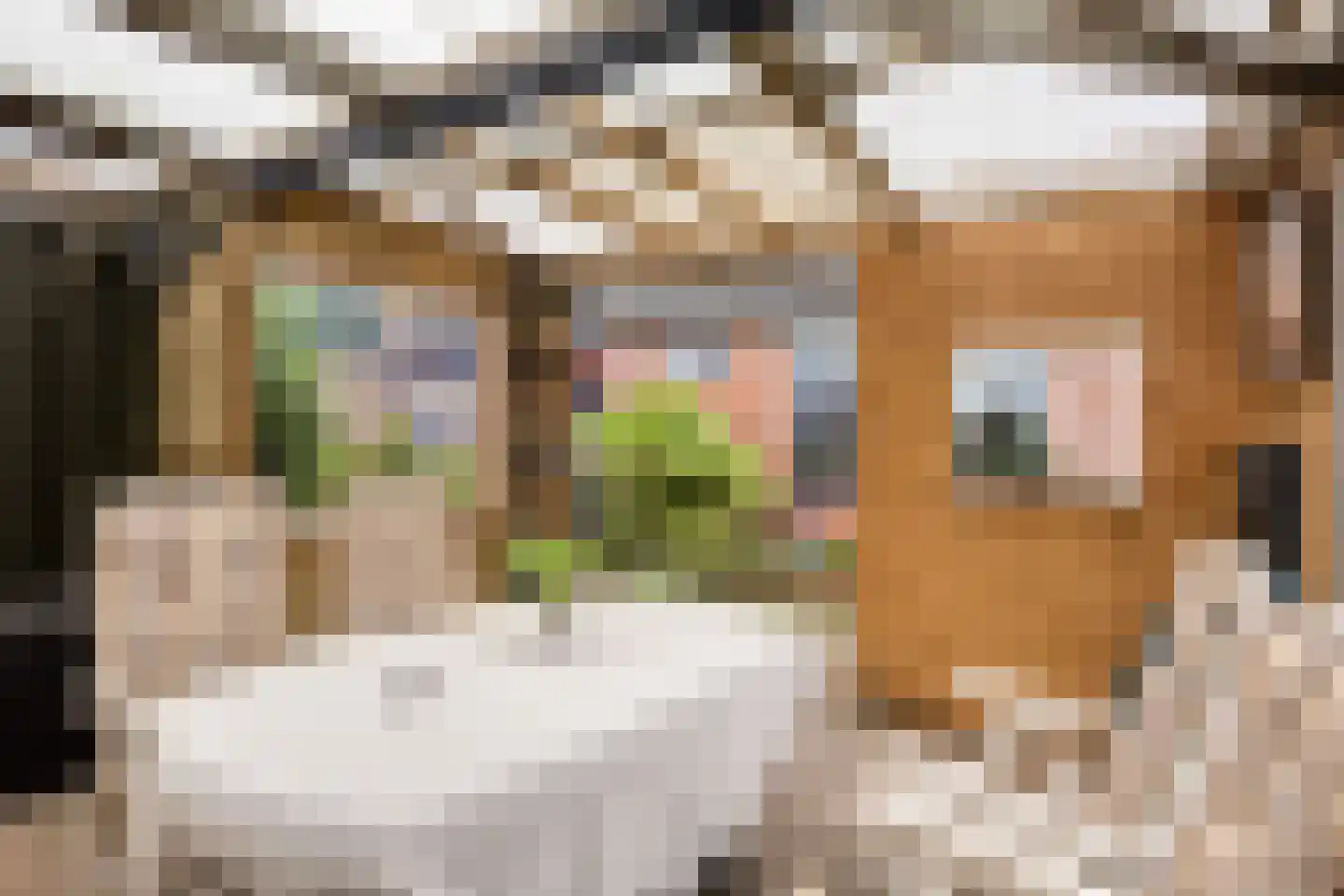 Kerkepad 1 Andijk thumbnail 52