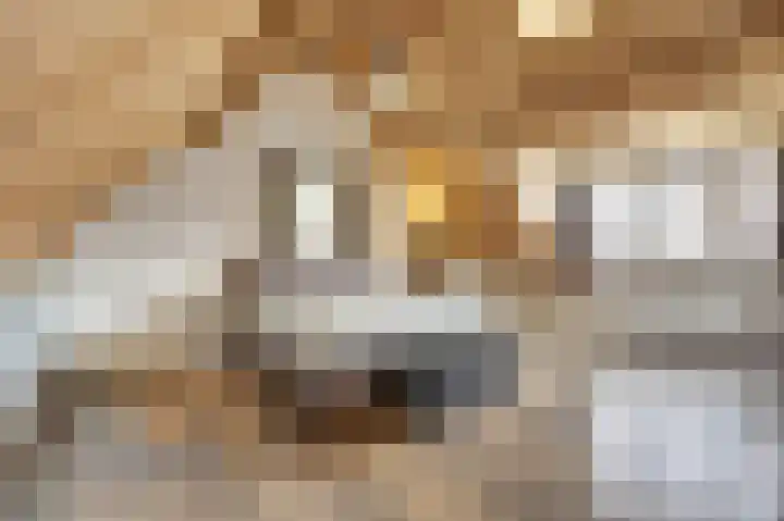 Kerkepad 13 Hapert thumbnail 29