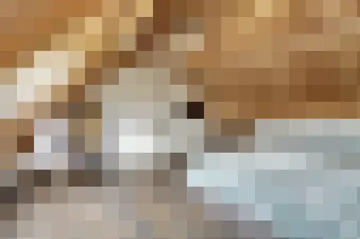 Kerkepad 13 Hapert thumbnail 30