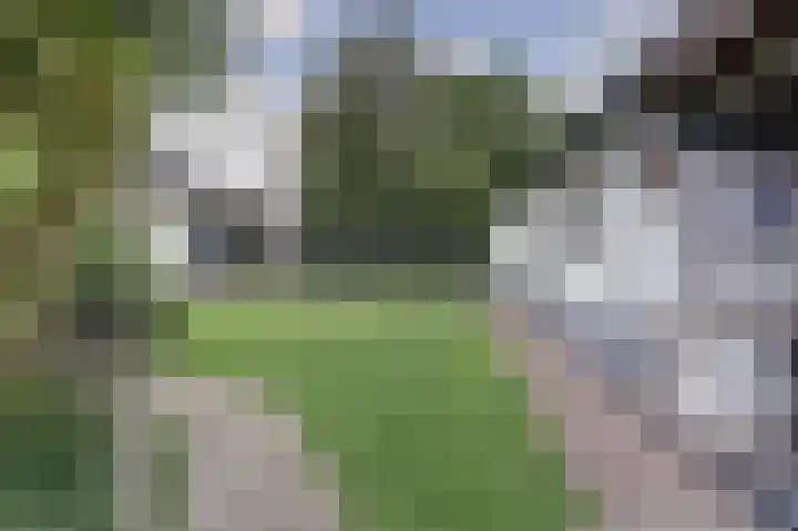 Kerkepad 13 Hapert thumbnail 39