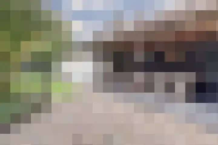 Kerkepad 13 Hapert thumbnail 43