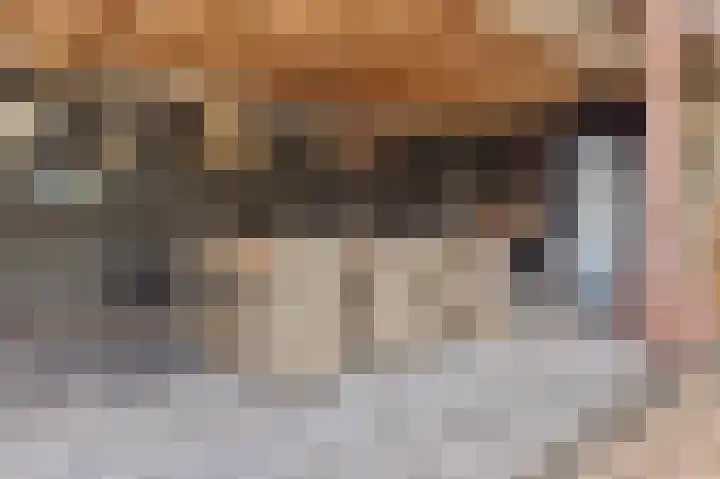 Kerkepad 13 Hapert thumbnail 44