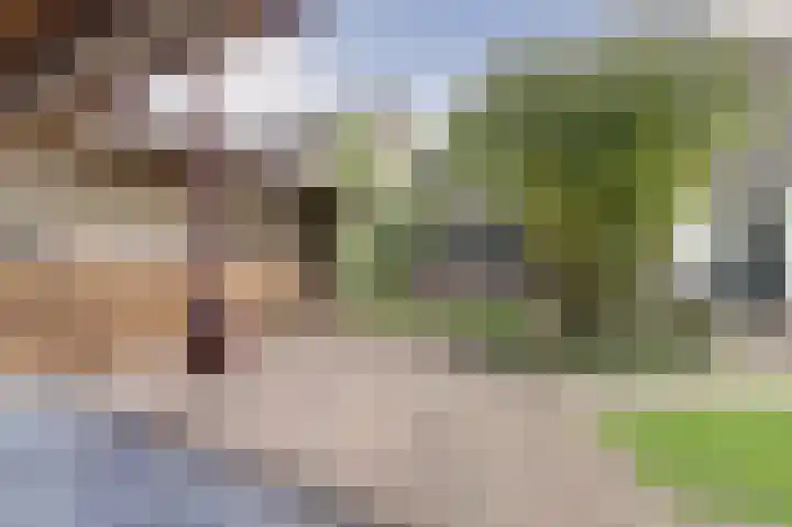 Kerkepad 13 Hapert thumbnail 45