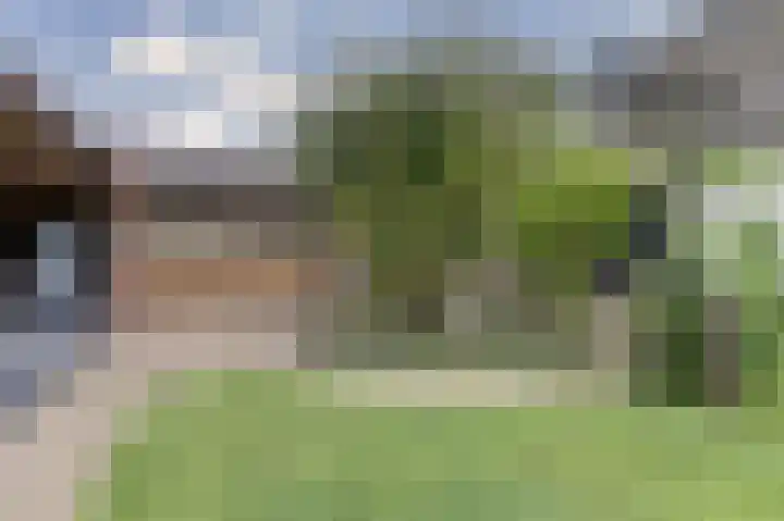 Kerkepad 13 Hapert thumbnail 46