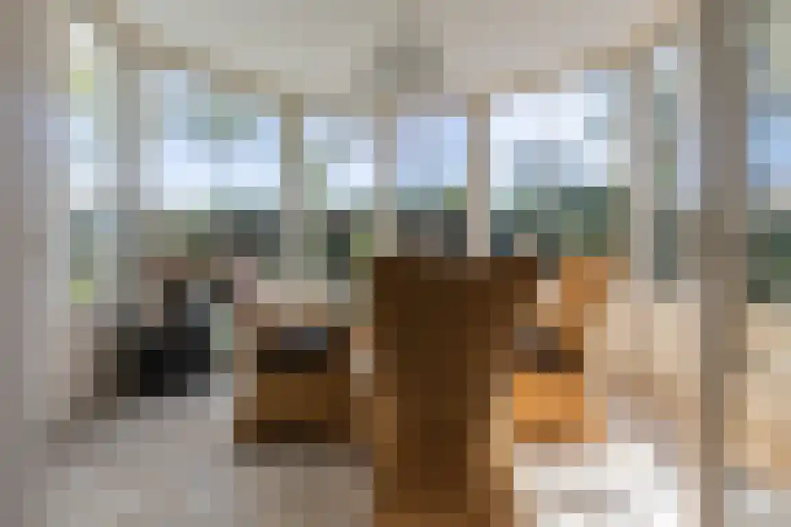Kerkepad 13 Ossendrecht thumbnail 12