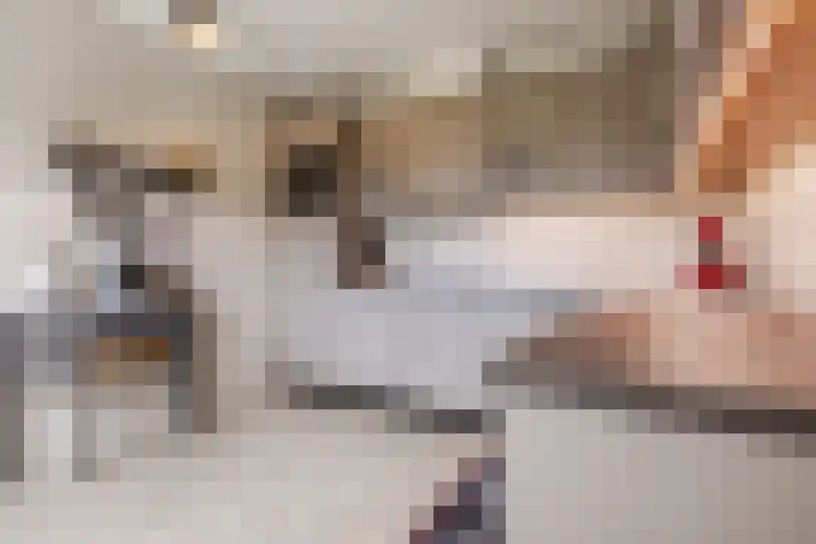 Kerkepad 13 Ossendrecht thumbnail 14