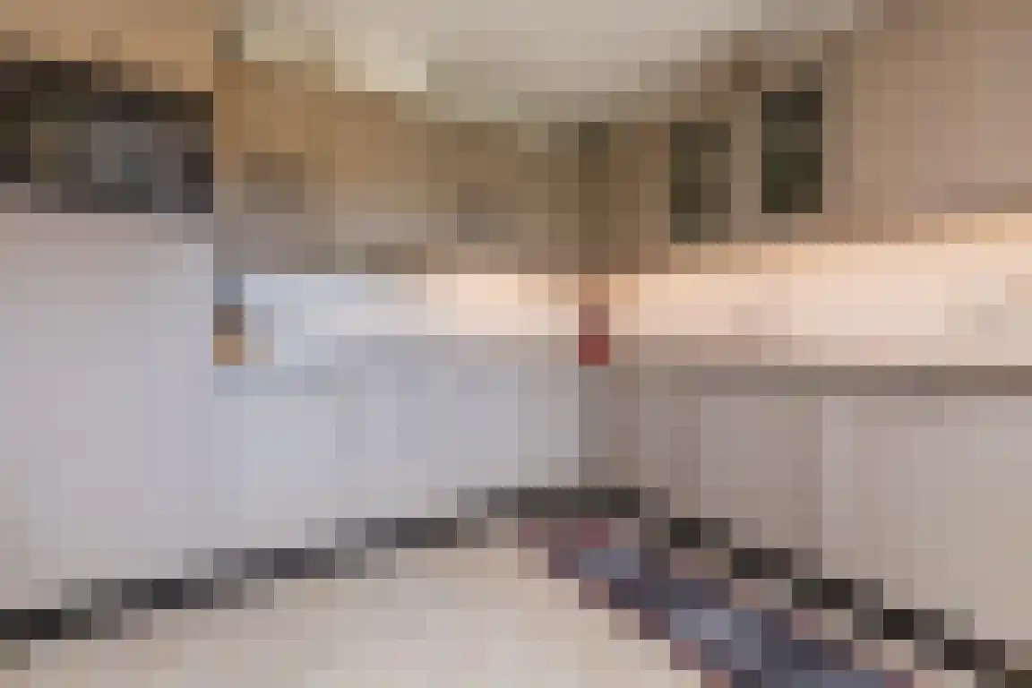 Kerkepad 13 Ossendrecht thumbnail 15