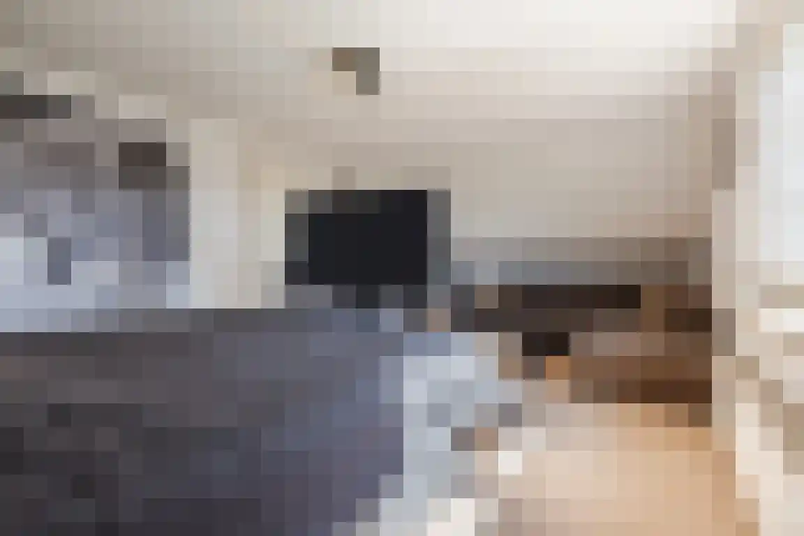 Kerkepad 13 Ossendrecht thumbnail 30