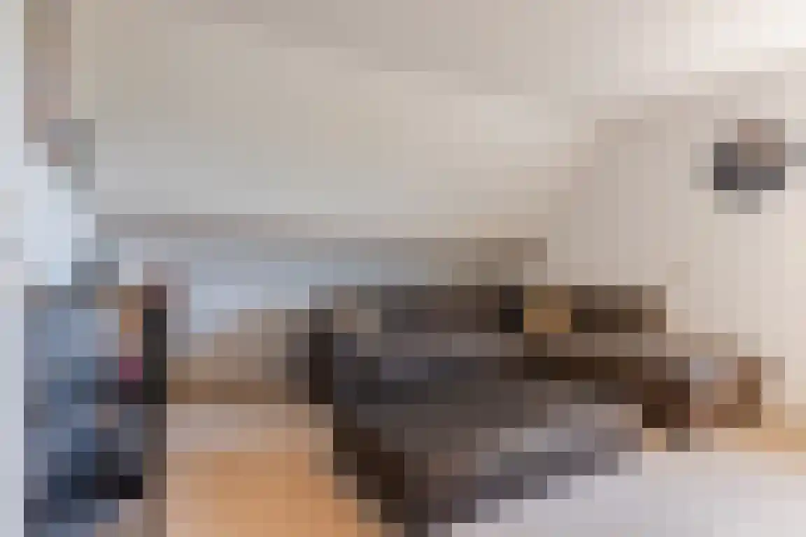Kerkepad 13 Ossendrecht thumbnail 31