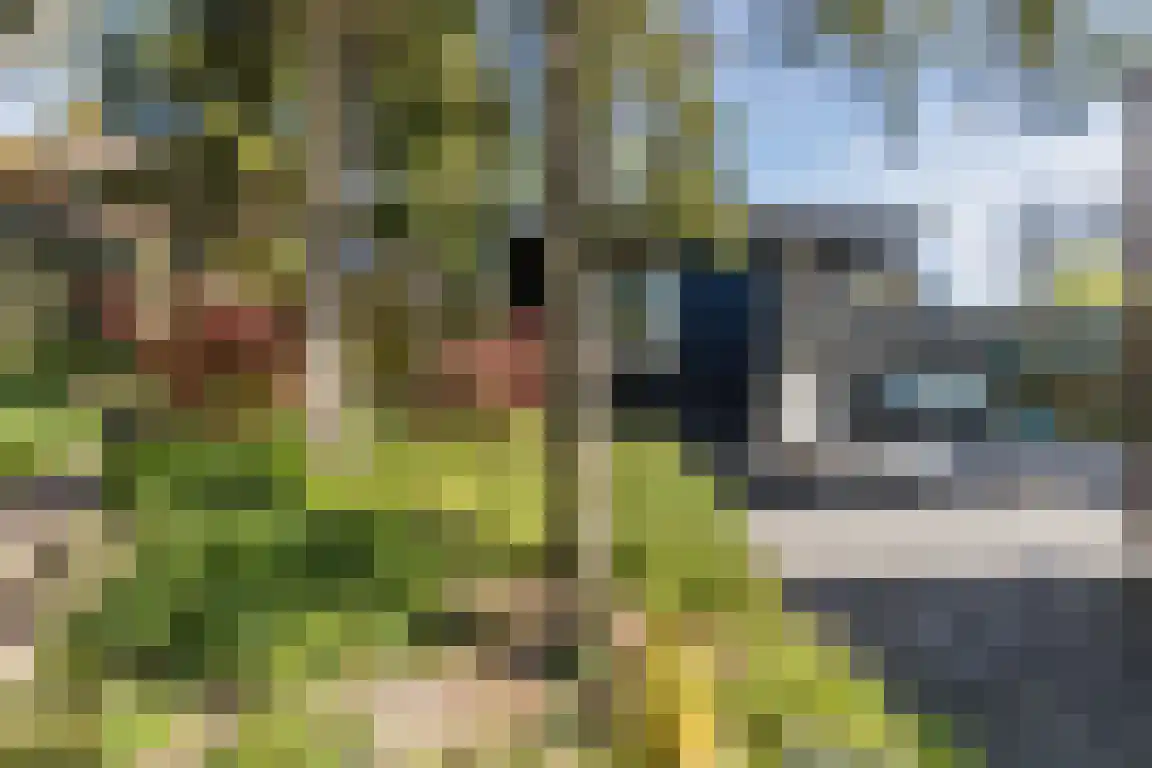 Kerkepad 13 Ossendrecht thumbnail 43