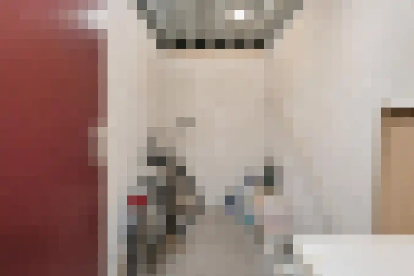 Kerkepad 13 Schagen thumbnail 30
