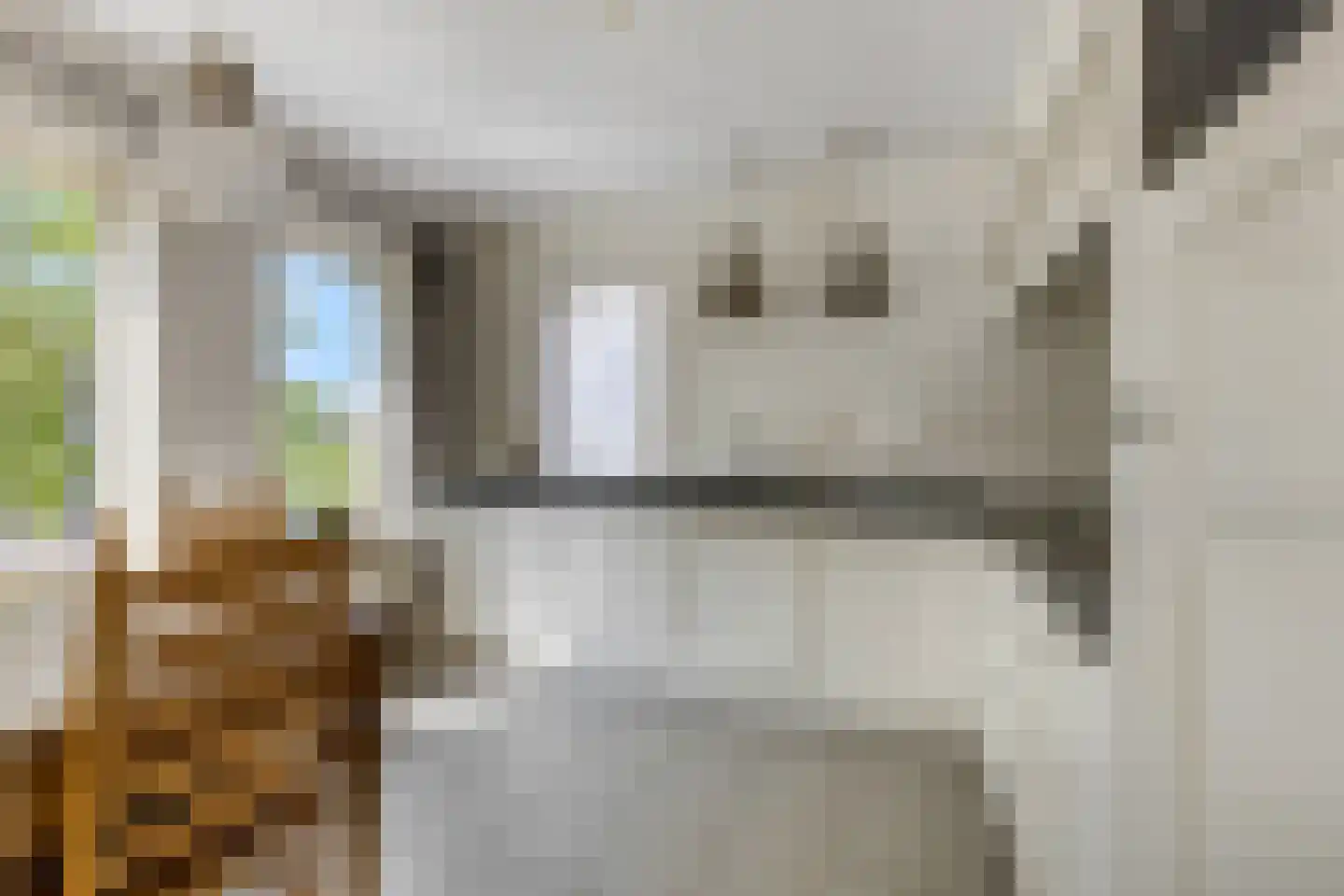 Kerkepad 15 Eemdijk thumbnail 10