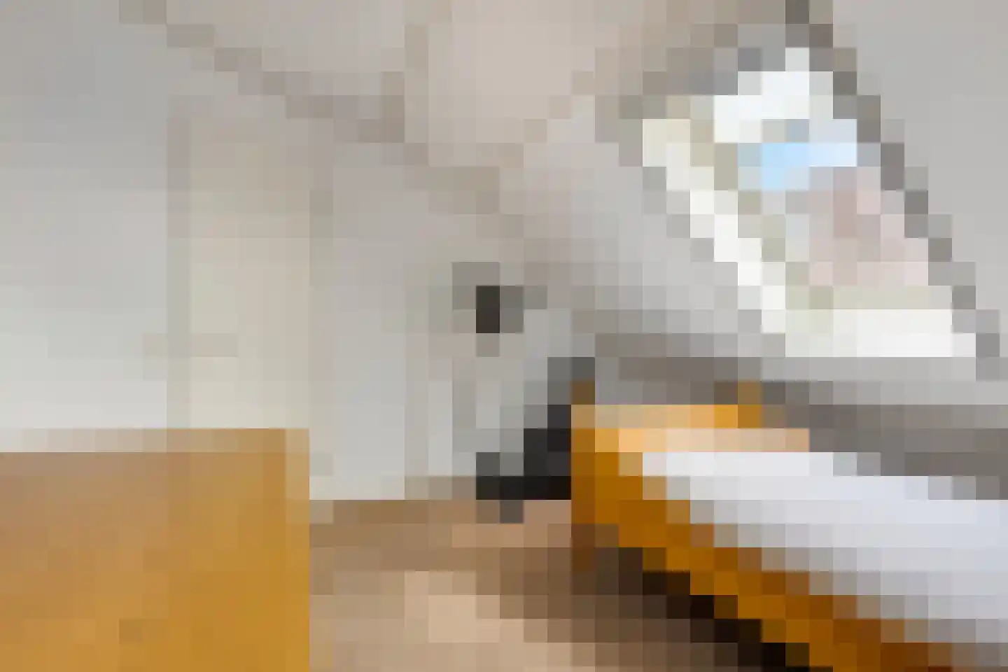 Kerkepad 15 Eemdijk thumbnail 19