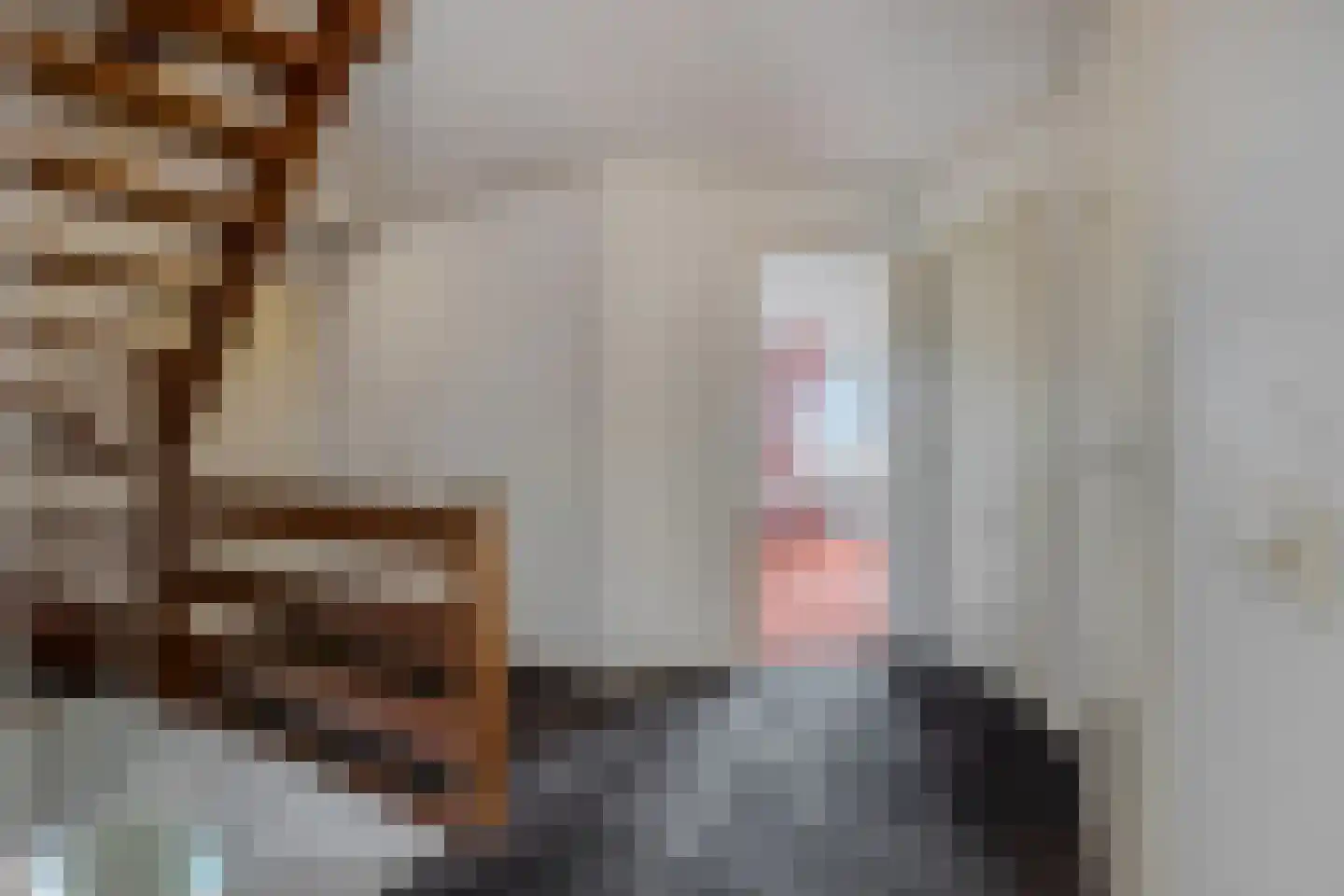 Kerkepad 15 Eemdijk thumbnail 25