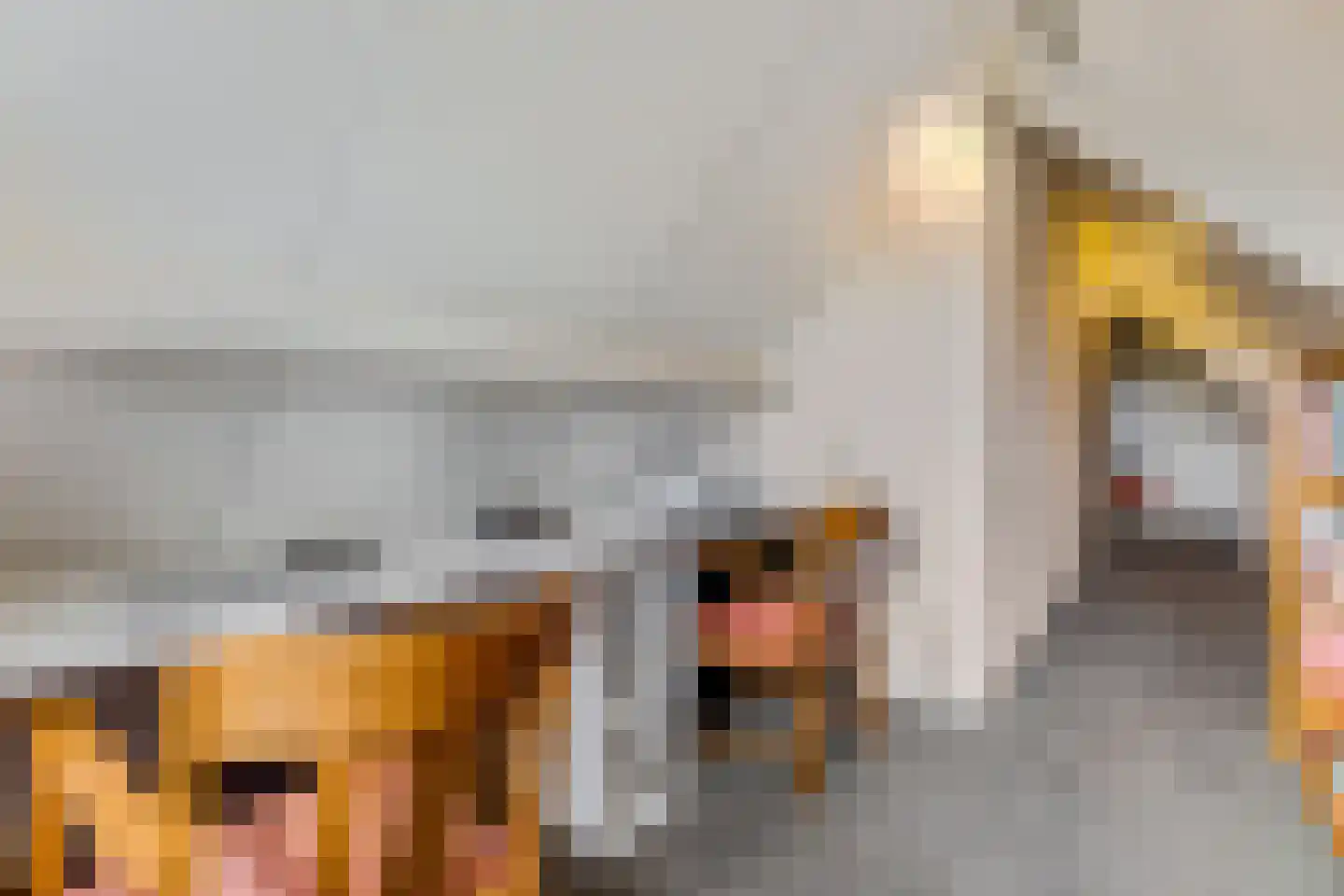 Kerkepad 15 Eemdijk thumbnail 27